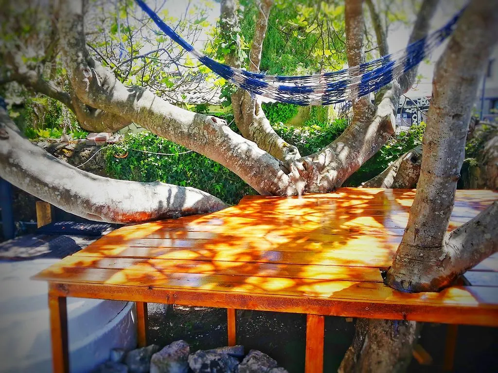 Auberge de jeunesse Surftolive House à Somo